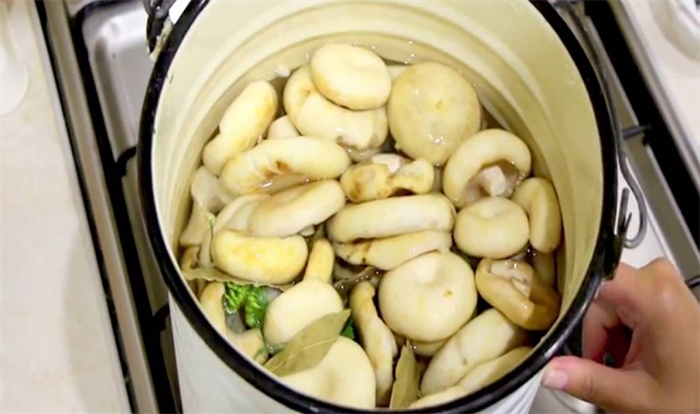 Рецепты маринования груздей горячим способом (с видео)