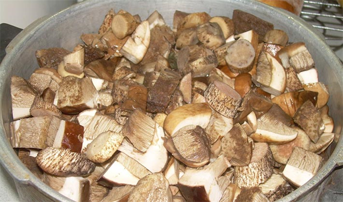 Маринование тополевых рядовок: рецепты на зиму