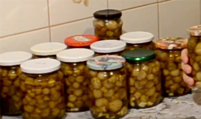 Рецепты консервирования груздей в домашних условиях