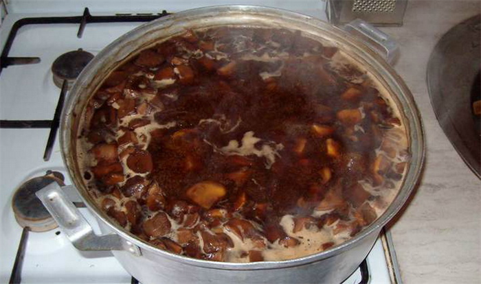 Свинушки на зиму: заморозка и консервация