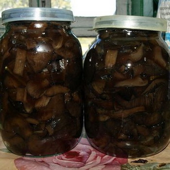 Свинушки на зиму: заморозка и консервация