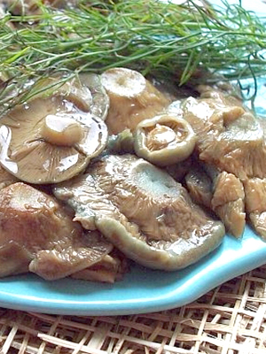 Хрустящие рыжики: рецепты засолки и маринования грибов