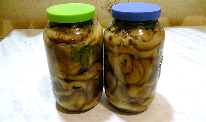 Хрустящие рыжики: рецепты засолки и маринования грибов