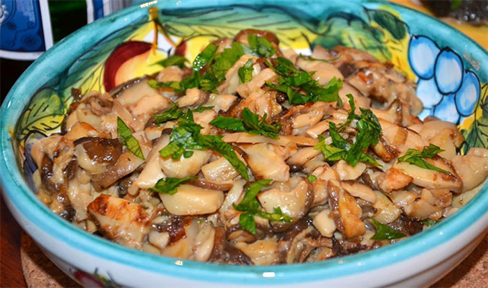 Рецепты приготовления курицы с белыми грибами