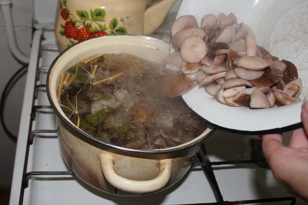 Маринованные маслята на зиму без стерилизации: вкусные рецепты